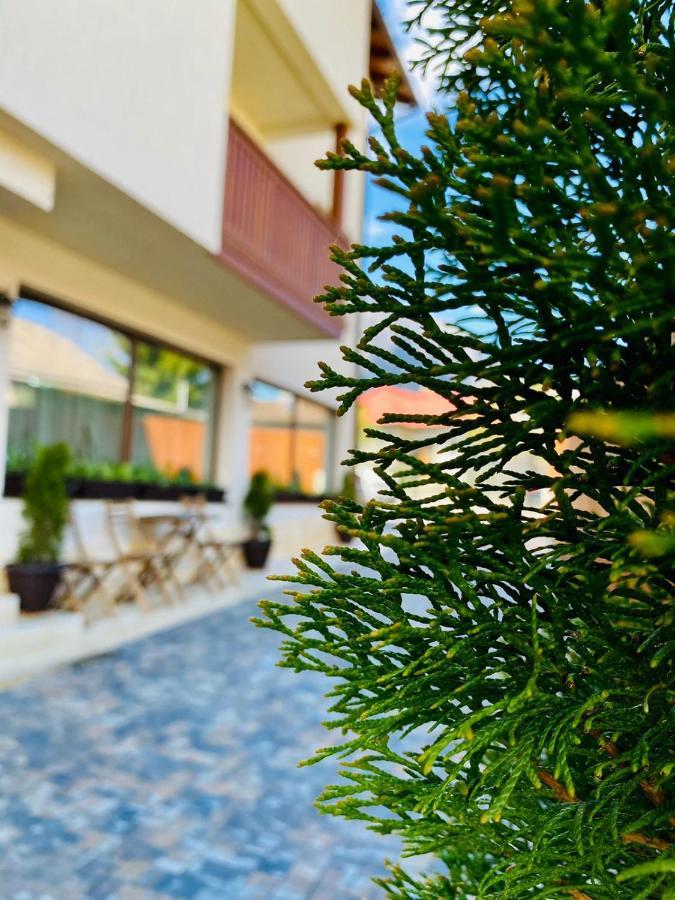 לינה וארוחת בוקר בוסטאני Casa Ankeli מראה חיצוני תמונה
